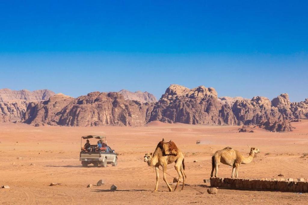 Hotel Bedouins Life Camp Akaba Exteriér fotografie